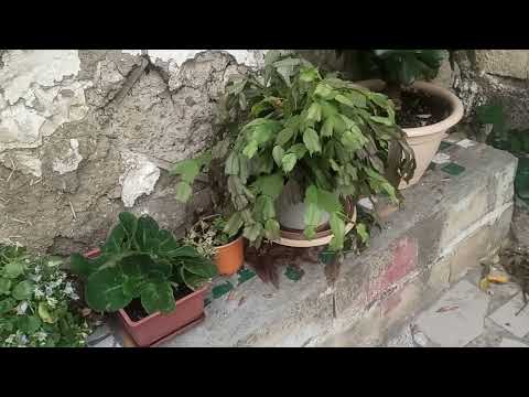 Видео: 28,29 октября 2023г.Мой дом.Начала обживаться)