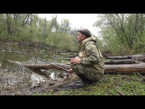 Видео: ВЕСЕННЯЯ РЫБАЛКА НА ПОПЛАВОК.  Рыбалка на поплавок в апреле на реке!