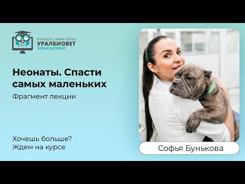 Видео: Трансляция фрагмента интенсива: “Неонаты. Спасти самых маленьких”. Лектор Софья Бунькова