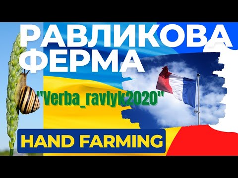 Видео: Равликова ферма у Дубно