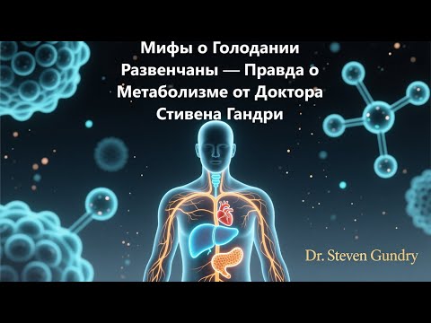 Видео: 🥦 Мифы о Голодании Развенчаны — Правда о Метаболизме от Доктора Стивена Гандри 💬