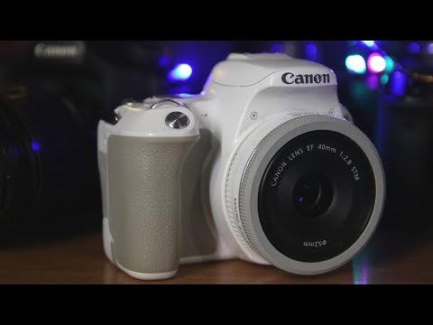 Видео: Полный обзор CANON 250D/SL3 + сравнение с 200D/SL2, 70D, 80D