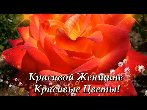 Видео: 🌹🌹🌹Красивой Женщине🌹 Красивые Цветы!🌹🌹🌹