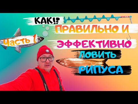 Видео: Ловля рипуса на Увильдах. Как ловить рипуса. Рыбалка рипус. Рипус Увильды. fishing. Часть 1