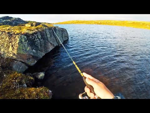 Видео: ЛЮТАЯ РЫБАЛКА И ПОХОД В ТУНДРЕ. Куда мы попали?! СЕВЕР проверяет нас на ПРОЧНОСТЬ!