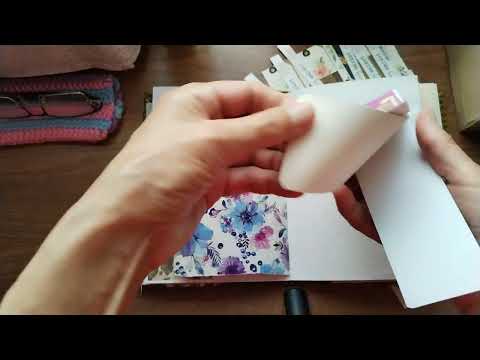 Видео: 5 ноября 2025 г.