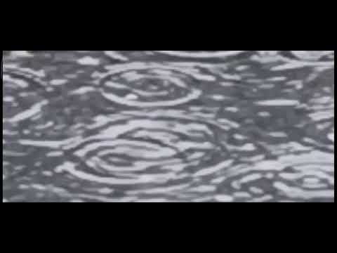 Видео: 2 ноября 2025 г.