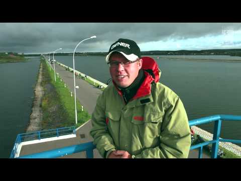 Видео: Кубок Дружды 2012, Минск