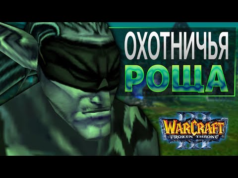 Видео: Охотничья роща / Warcraft 3