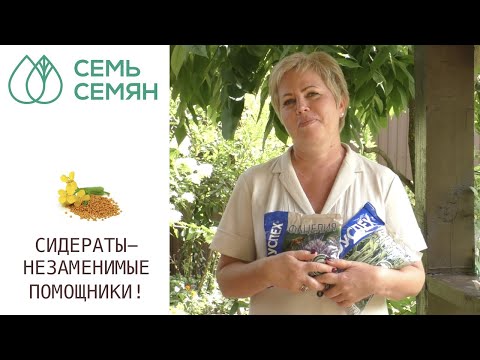 Видео: УЛУЧШАЕМ ПОЧВУ С ПОМОЩЬЮ СИДЕРАТОВ!