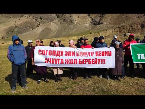 Видео: Алай району Согонуду айылы чечилбеген комур маселеси
