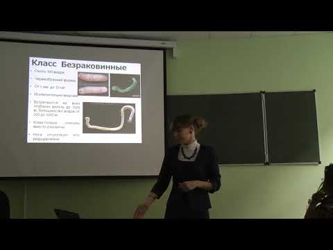 Видео: Зоология беспозвоночных. Часть 3. Римская-Корсакова Н.Н., Борисанова А.О. 04.11.2014 edit