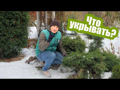 Видео: Какие растения укрывать на зиму? Готовим сад к зиме!