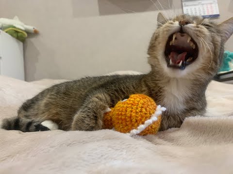 Видео: Лекция№9/Уравнение кривых 2-го порядка. Типы кривых 2-го порядка/ Баскаков А.В.