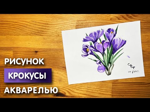 Видео: Как нарисовать крокусы карандашом и акварелью начинающим | Рисунок поэтапно и легко для детей