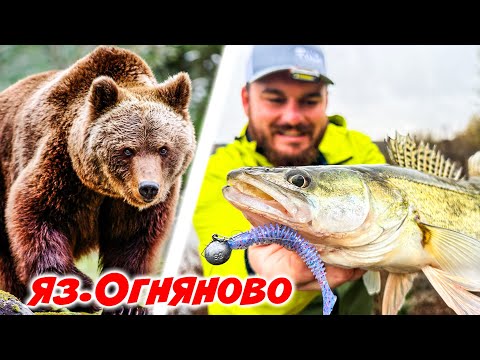 Видео: МЕЧКИ ДО СОФИЯ? ДЖИГ РИБОЛОВ от брега! За бели риби и костури на язовир Огняново.