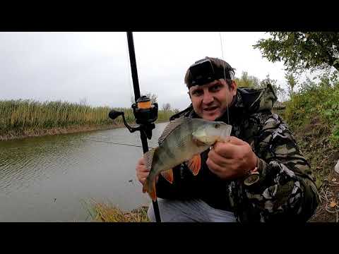 Видео: Осенняя рыбалка на поплавочную удочку, жор карася