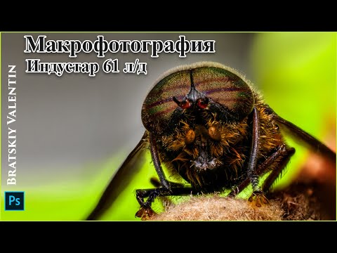 Видео: Макрофотография Индустар 61 л/д