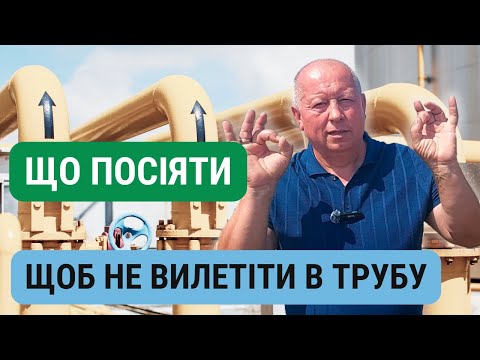 Видео: 💥ПЕРСПЕКТИВНІ КУЛЬТУРИ💥 НА НАСТУПНИЙ РІК