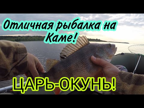 Видео: Рыбалка на Каме! Царь-окунь!