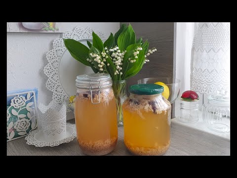 Видео: Квас живого брожения!Новый ролик!