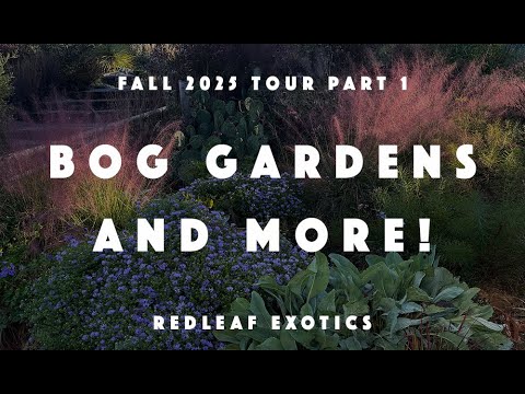 Видео: Осенний тур 2025: Часть 1