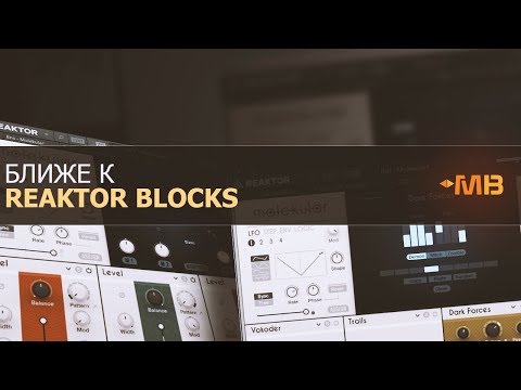 Видео: БЛИЖЕ К REAKTOR BLOCKS: MOLEKULAR [М.Мачалов]