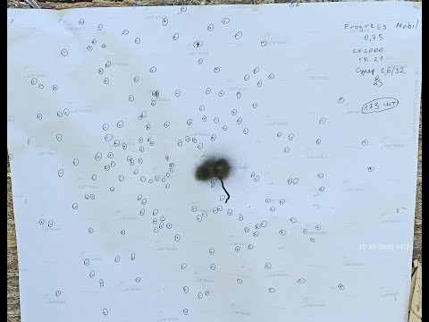 Видео: Самокрут: Сунар 35, СХ2000, 1,6/32 ГП Н21, дробь #5 Промтех. Progress Mobil 0,25 + 0,75.