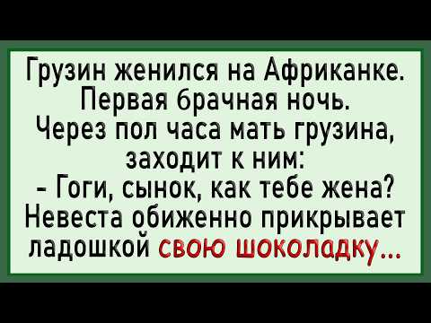 Видео: Как Грузин на Африканке Женился! Сборник Свежих Анекдотов! Юмор!