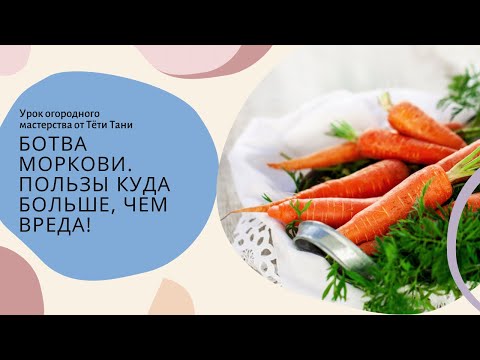 Видео: 934. Ботва моркови. Польза и вред. Пользы куда больше...