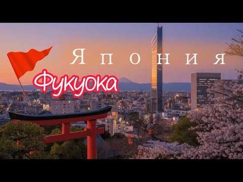 Видео: Чуть не выгнали из автобуса в Японии #Фукуока 🆘 позор на всю жизнь ⛔️ Фукуока за 6 часов 🙌