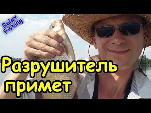 Видео: Не верьте в ПРИМЕТЫ на РЫБАЛКЕ! Лещ, карась, плотва на гороховую мастырку.