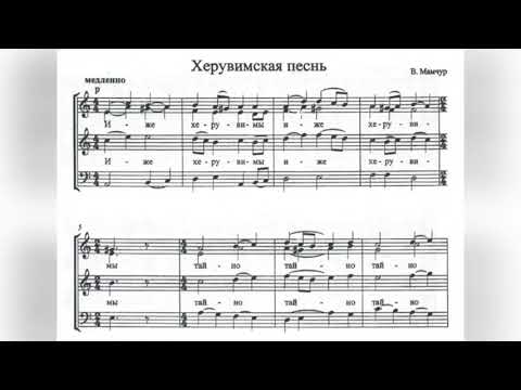 Видео: В. Мамчур Херувимская песнь