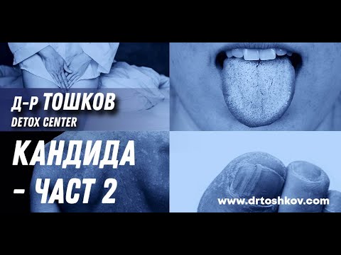 Видео: Кандида - част 2