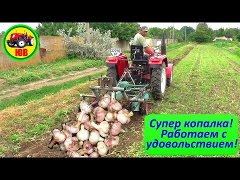 Видео: Копаем чеснок легко и просто!