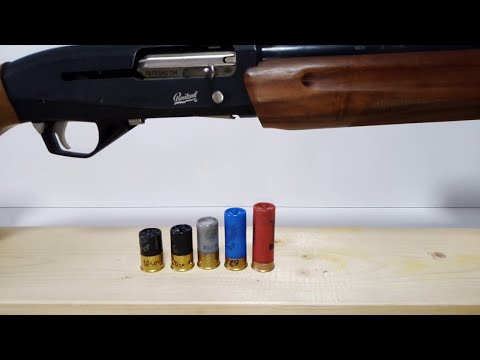 Видео: МР-155 и родезийские коротыши. Эксперимент.