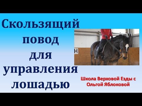 Видео: СКОЛЬЗЯЩИЙ ПОВОД ДЛЯ УПРАВЛЕНИЯ ЛОШАДЬЮ
