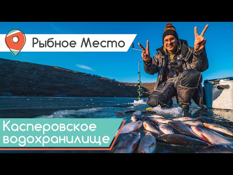 Видео: Окунь, густера и подлещик со льда. Зимняя рыбалка на Касперовском водохранилище. Рыбное место.