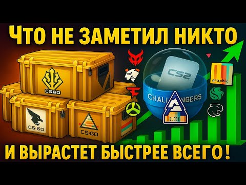 Видео: ЧТО ВЫРАСТЕТ БЫСТРЕЕ ВСЕГО ПОСЛЕ ОТКАТА РЫНКА КС 2 (CS2)