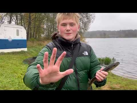 Видео: Рыбалка на щуку осенью! 3 щуки за рыбалку!