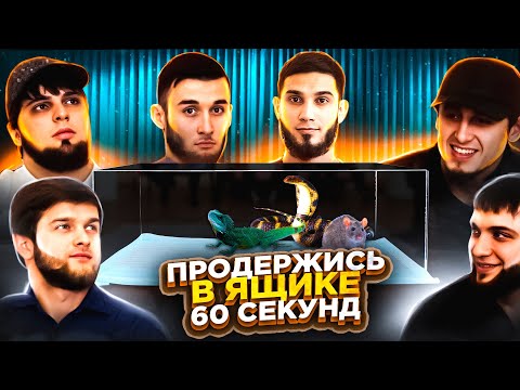 Видео: 60 СЕКУНД МУЧЕНИЙ В ЯЩИКЕ | Продержись и Получи Путевку в Дубай