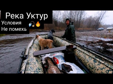 Видео: Горная рыбалка на реке Уктур, хариус, ленок 💪🔥🎣🎣🎣🎣🎣