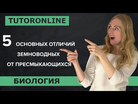 Видео: Биология | 5 основных отличий земноводных от пресмыкающихся.  Земноводные 7 класс