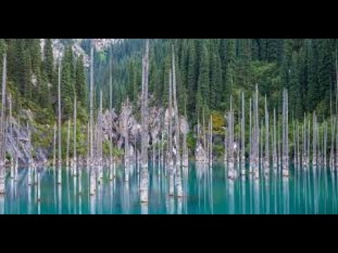 Видео: Қайыңды көл және Көлсай көлдері