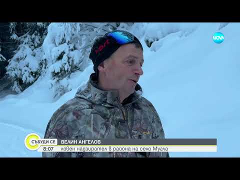 Видео: "Дотам и обратно": Зимно фотосафари сред дивите чукари на Родопите