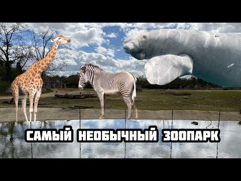 Видео: ЗООПАРК В ПАРИЖЕ (ВЕНСЕНСКИЙ) 2023, обзор (влог)
