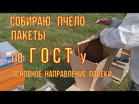 Видео: Как собрать хороший пчело пакет. Пчеловодство как бизнес. Собираем и продаëм пчелопакеты.