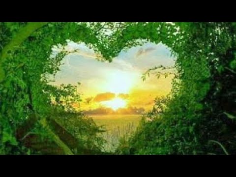 Видео: Обича ли ме?Любов или илюзия? Какво ни предстои?  Таро с Ники ❤️