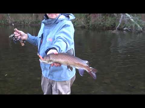 Видео: AR-HD Minnow 45HS. Рыбалка на ленка на Дальнем Востоке.