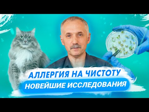 Видео: Что провоцирует аллергию? Новейшие исследования / Доктор Виктор